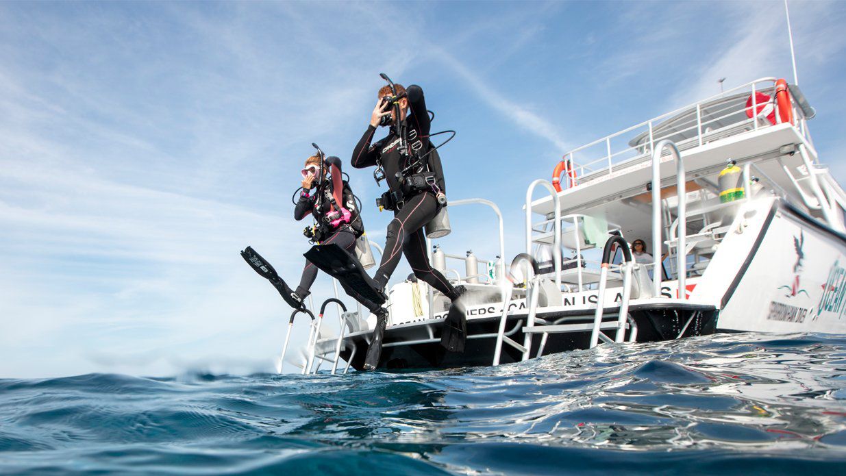 Daily Boat Diving Offer