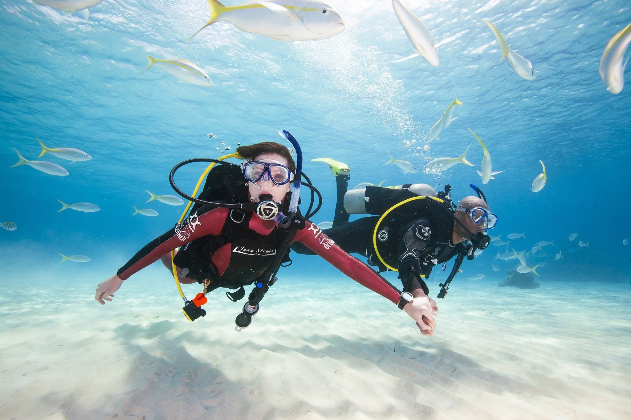 Abu Dabab — coral and turtles